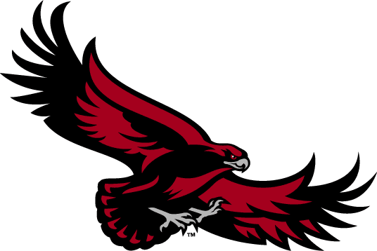 St. Joseph's Hawks 2001-Pres Alternate Logo v4 DIY iron on transfer (heat transfer)